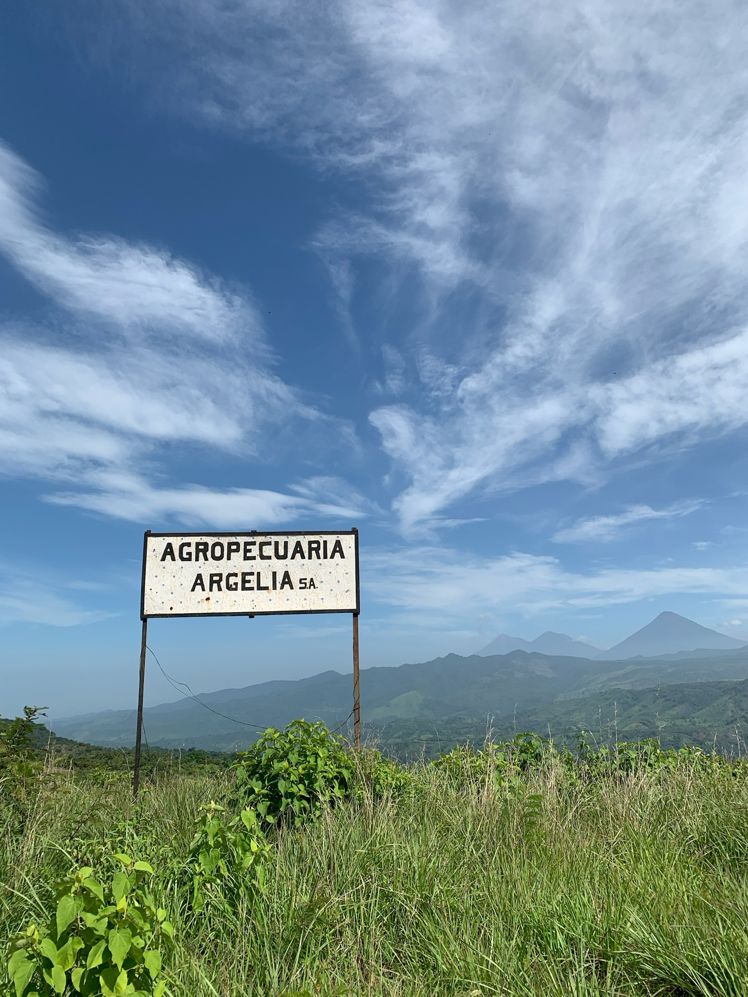 Finca Argelia farm entrance